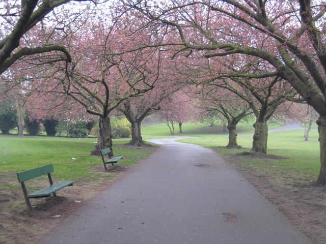 File:Valley Gardens Pontefract - geograph.org.uk - 1256066.jpg