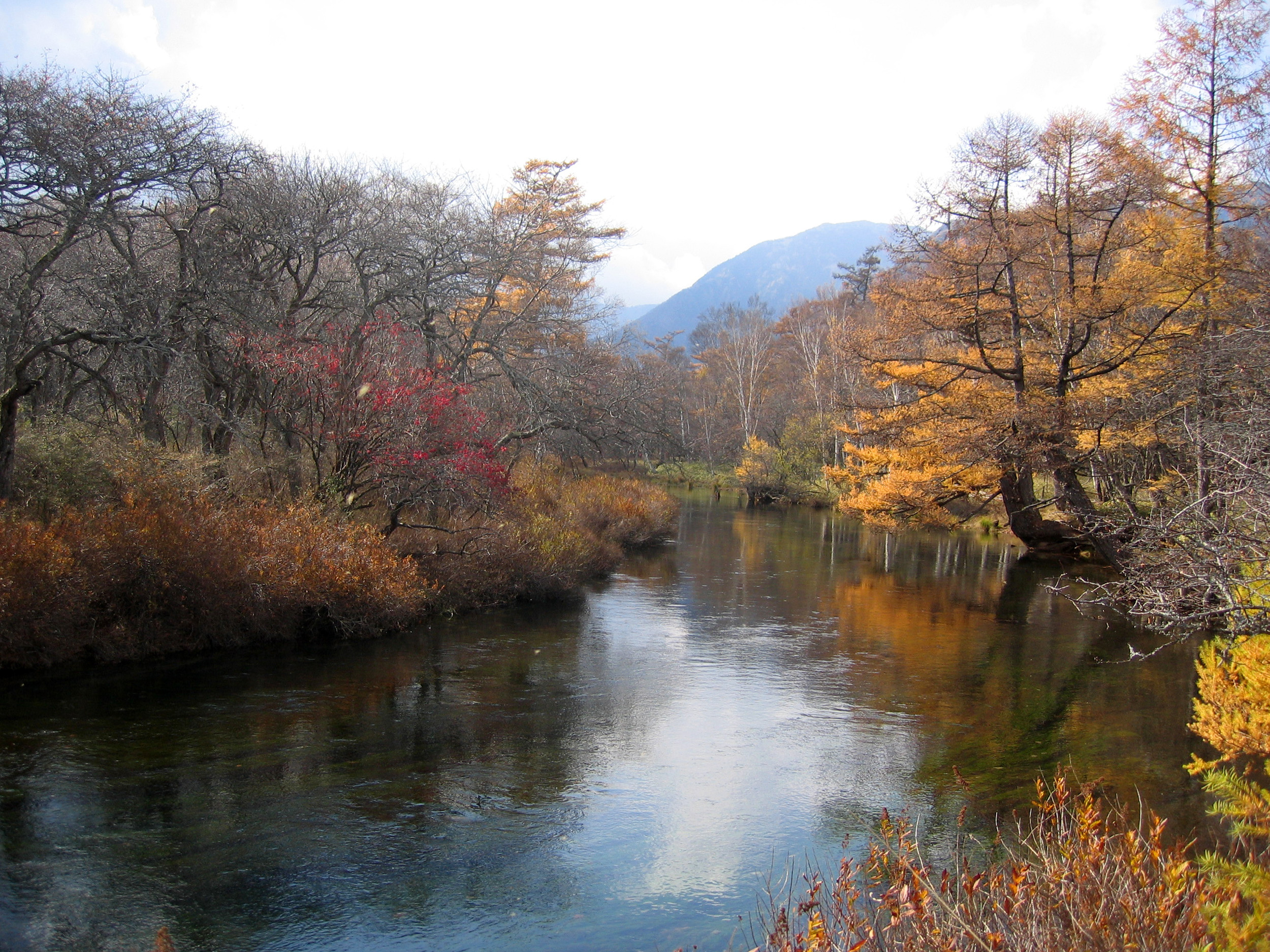 湯川 日光市 Wikipedia