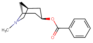 File:(1S,3R,5R)-6-methyl-6-azabicyclo(3.2.1)octan-3-yl benzoate.png