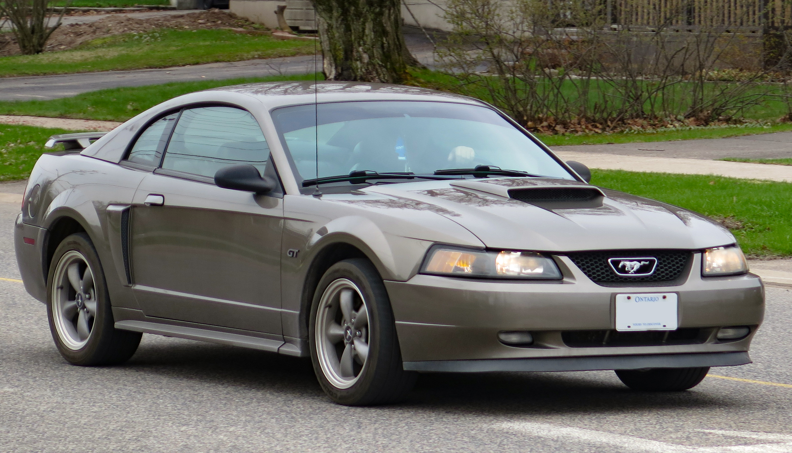 https://upload.wikimedia.org/wikipedia/commons/d/df/2002_Ford_Mustang_GT_Coupe_in_Mineral_Grey_Metallic%2C_Front_Right%2C_05-06-2023.jpg