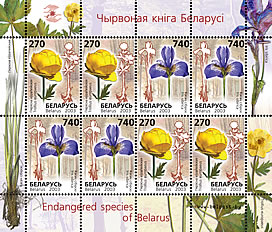 File:2003. Stamp of Belarus 0507-0508.jpg