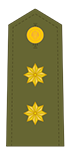 Lieutenant Coronel