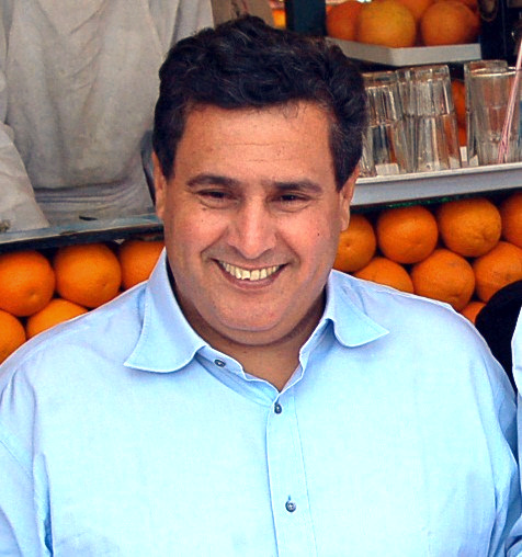 File:Akhenouch cropped.jpg