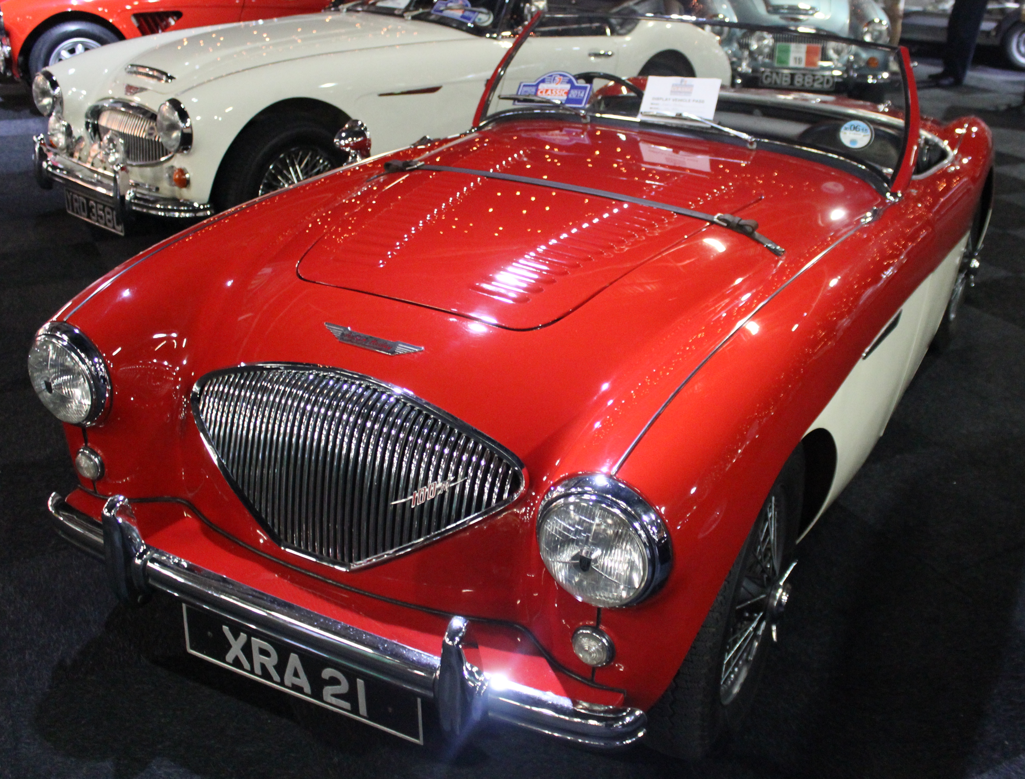 Austin Healey 100s Shelby