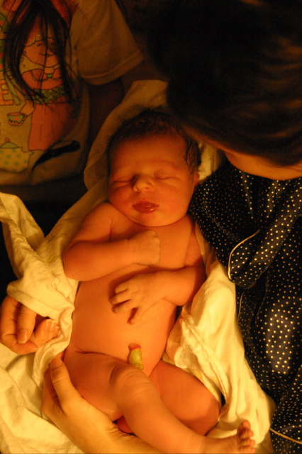 Половые органы новорожденного мальчика