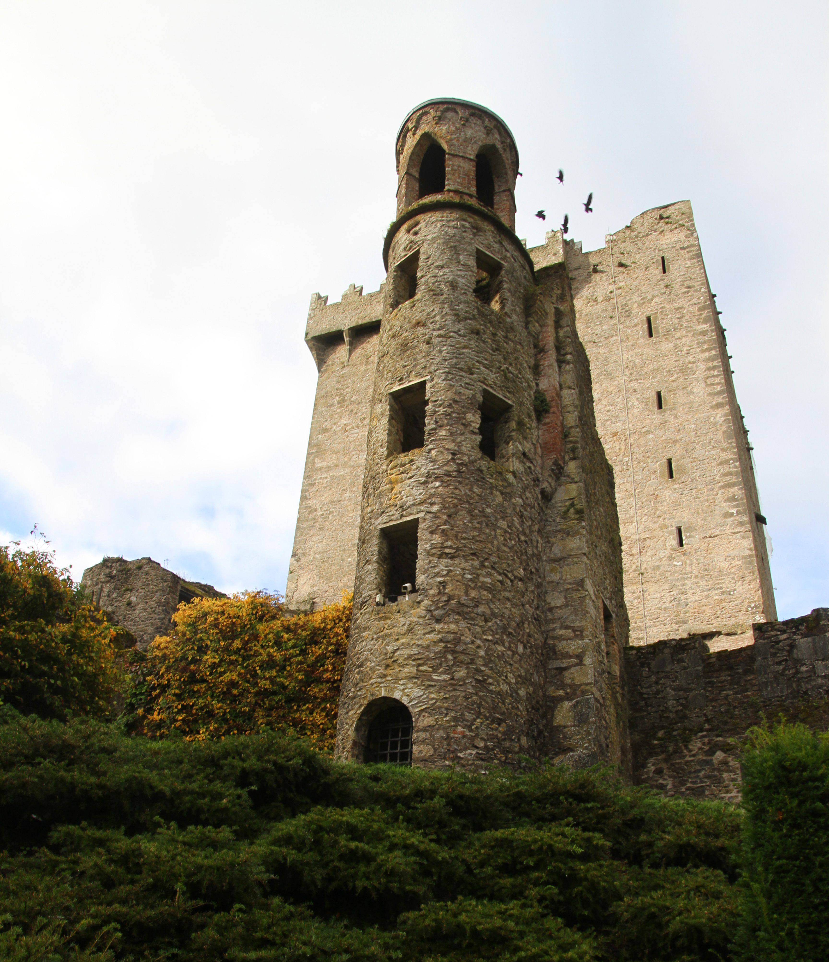 Castle 2017. Замок Бларни. Замок 16 века.