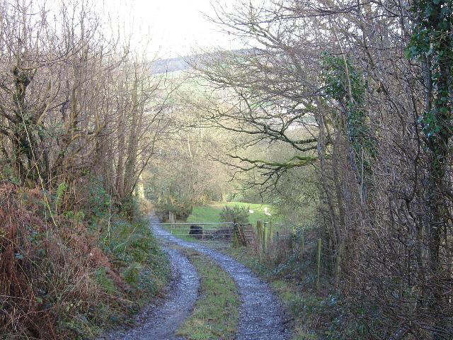 File:Down Towards The River - geograph.org.uk - 315762.jpg