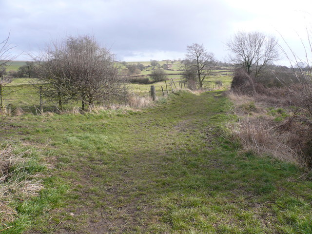 Carr Vale