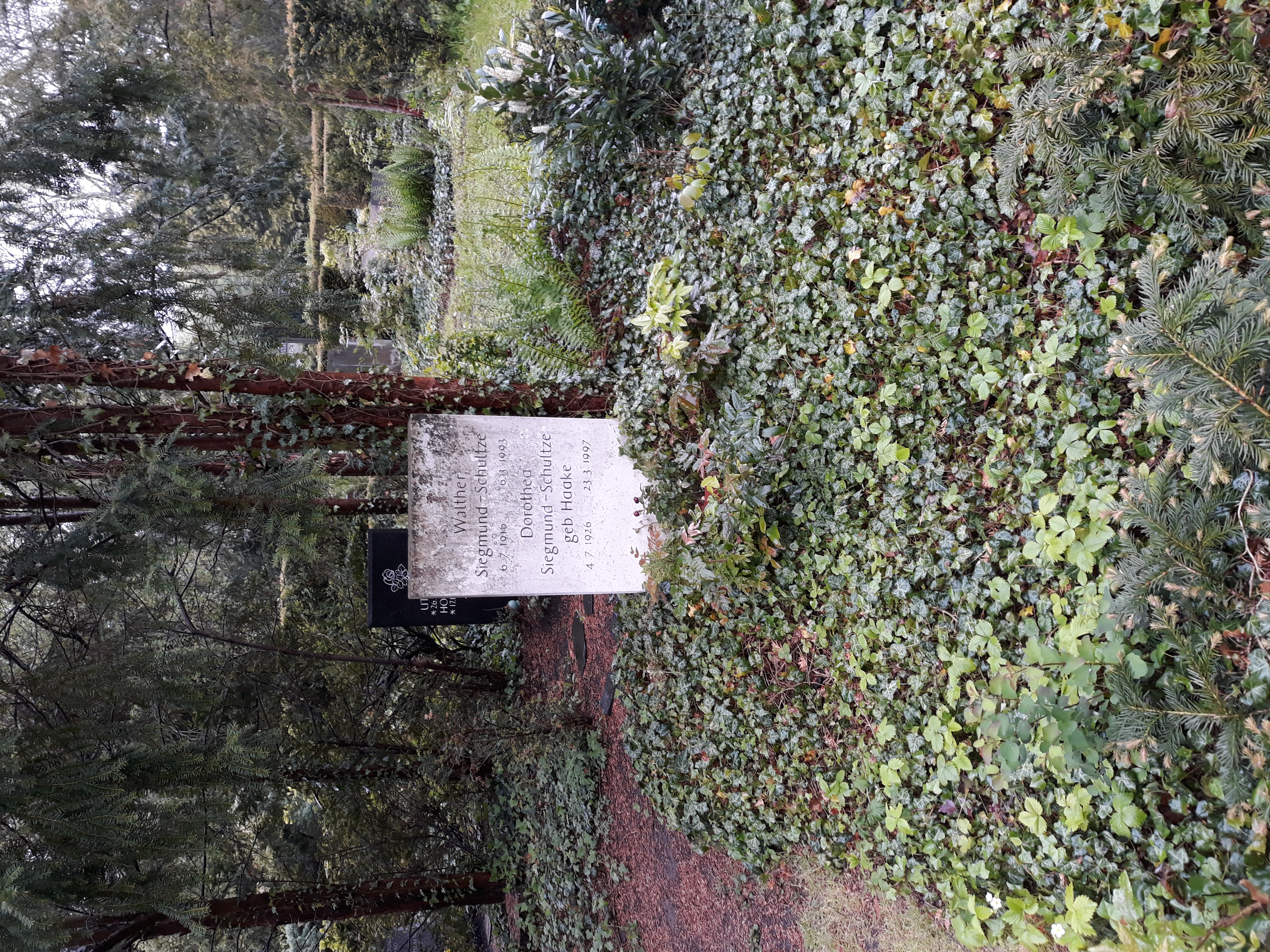 Grab Walther Siegmund-Schultze und Ehefrau Dorothea, Gertraudenfriedhof Halle (Saale)