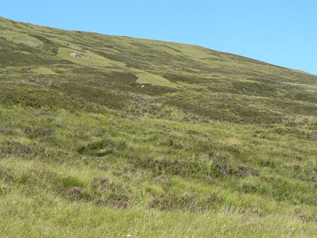 File:Hillside - geograph.org.uk - 203813.jpg