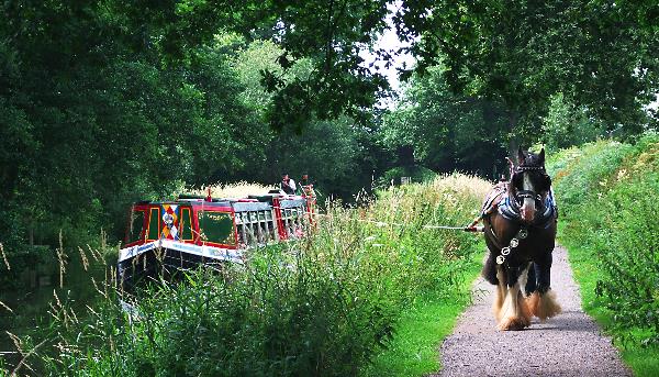 File:Horse-drawn canal boat on the Grand Western Canal ...