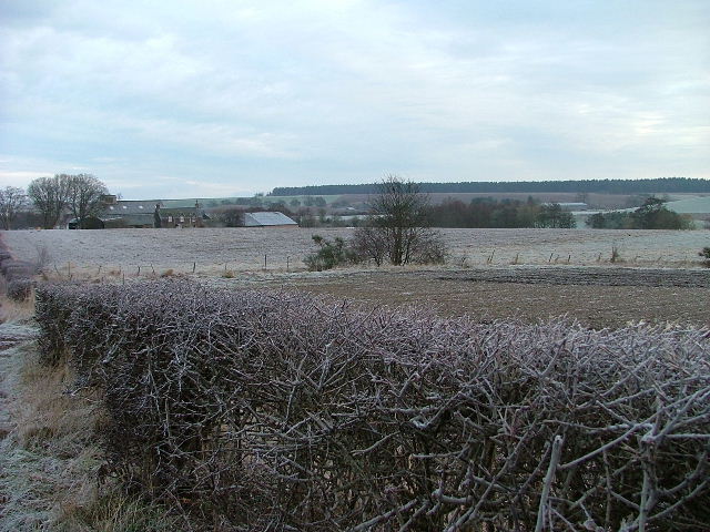 File:Jackstone Farm - geograph.org.uk - 330195.jpg