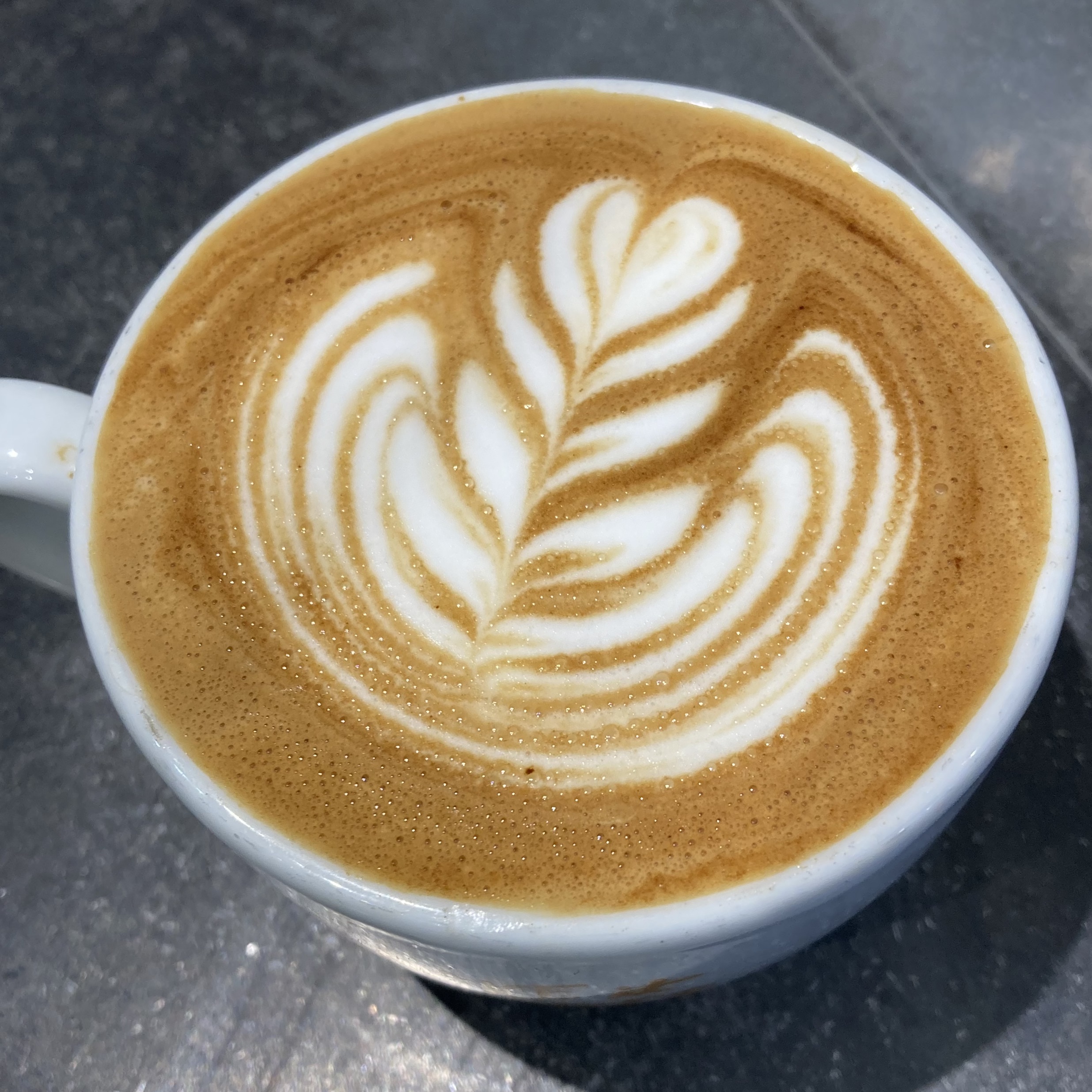 Latte Art Swans - How to Pour the Best Latte Art?