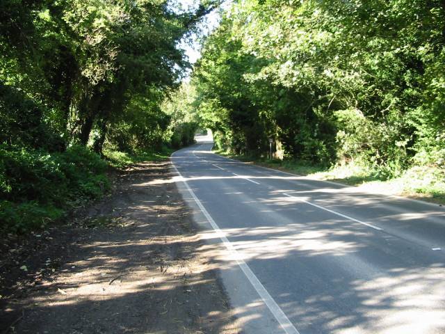 File:Looking W along the Alkham Road - geograph.org.uk - 577529.jpg