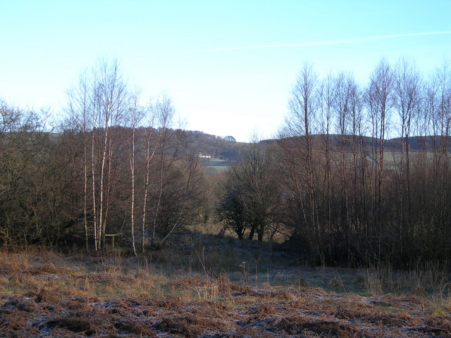 File:Marshland Scrub - geograph.org.uk - 321924.jpg