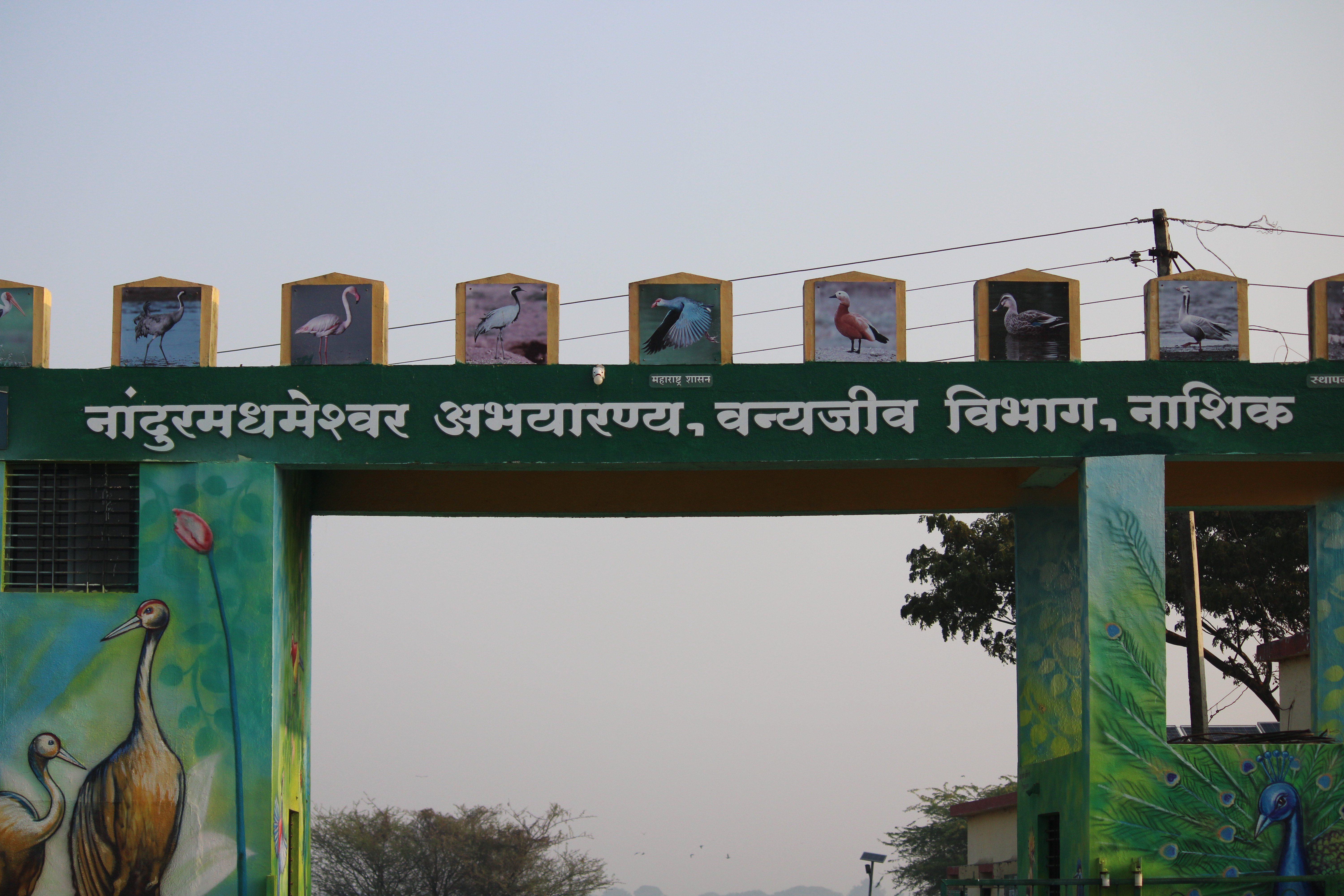 Nandur Madhmeshwar Bird Sanctuary | Nashik.com