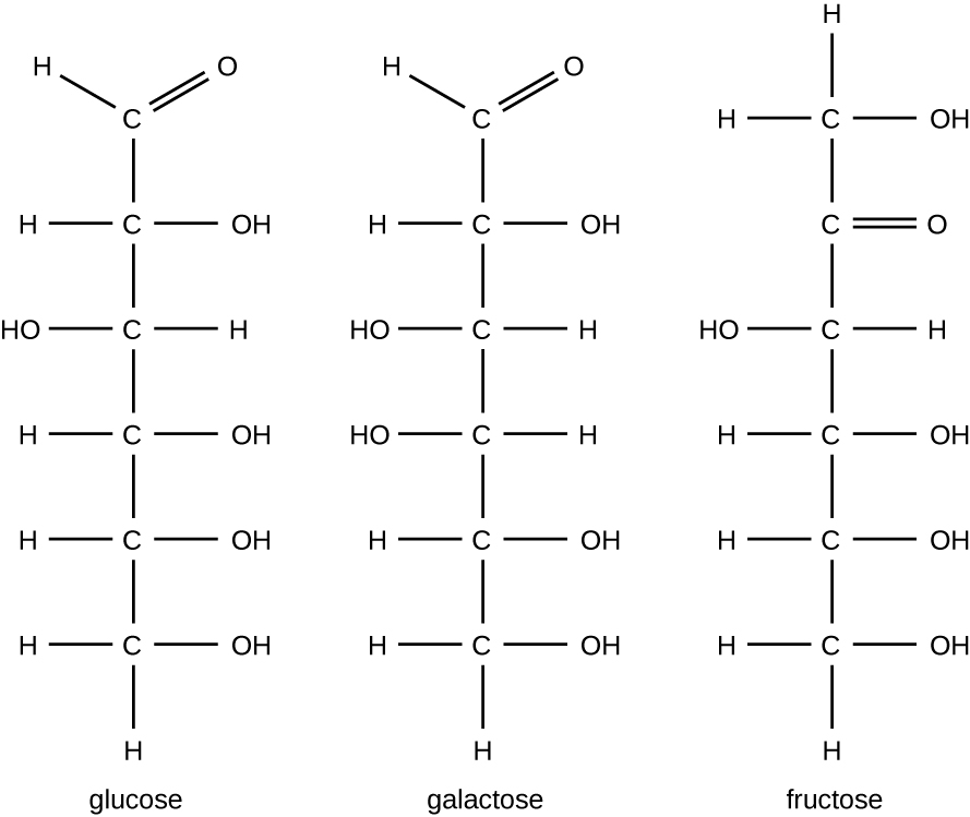 5 формула глюкозы. Глюкоза фруктоза галактоза. Молекула галактозы. Молекула Глюкозы структурная формула. Галактоза структурная формула.
