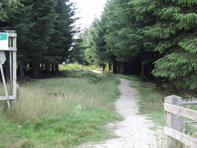 File:Offa's Dyke Path in Llandegla Forest - geograph.org.uk - 208656.jpg