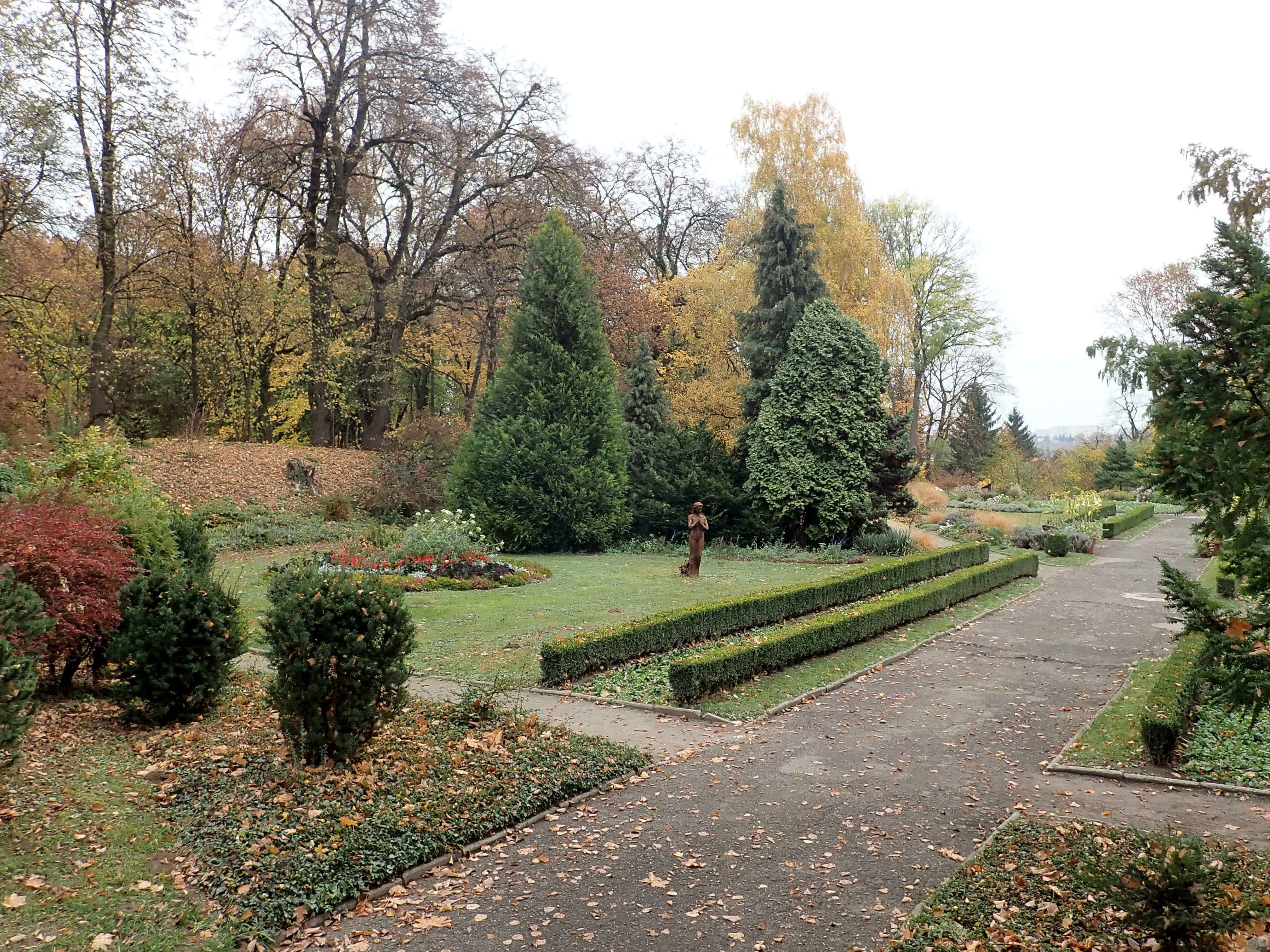 File:Ogrod Botaniczny Lublin 2018-10-22 3296.jpg - Wikimedia Commons
