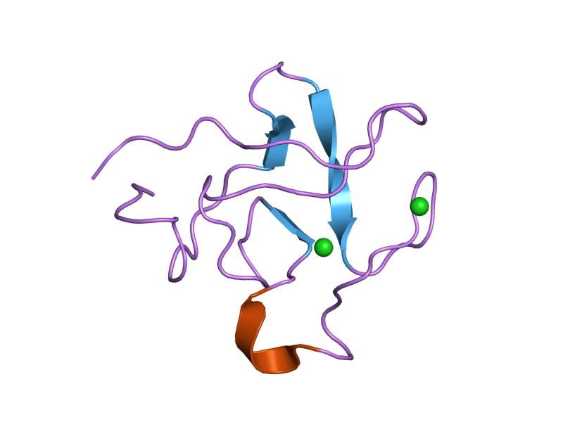 File:PDB 1pkr EBI.jpg