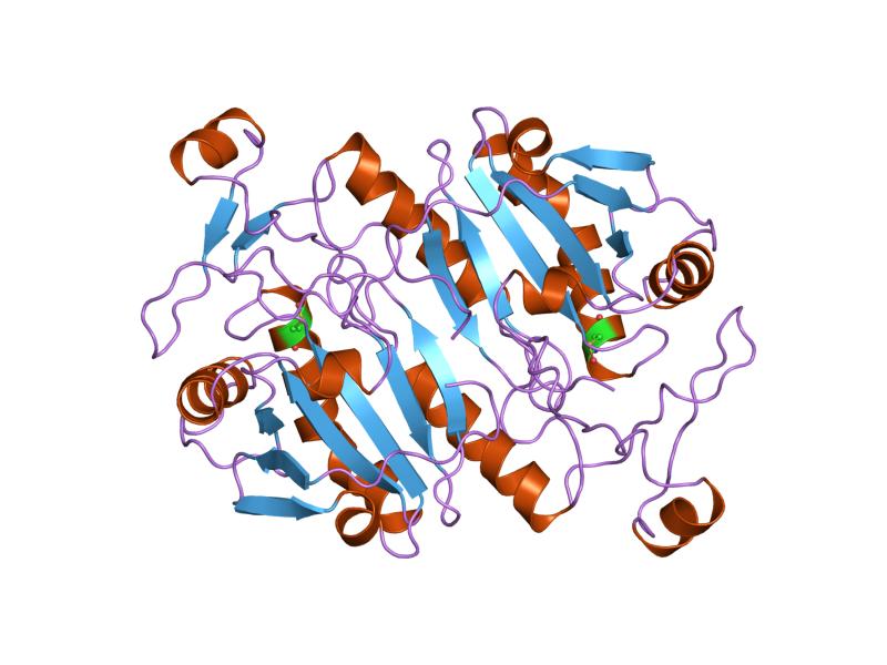 File:PDB 1prx EBI.jpg