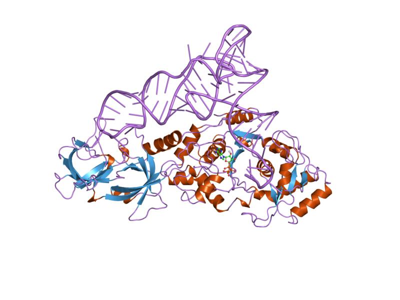 PDB 1qrt EBI