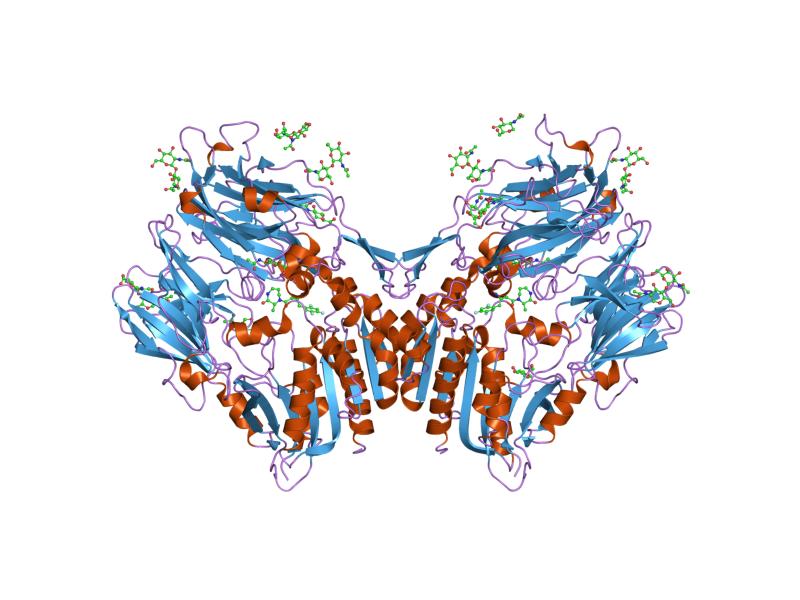 File:PDB 2iiv EBI.jpg