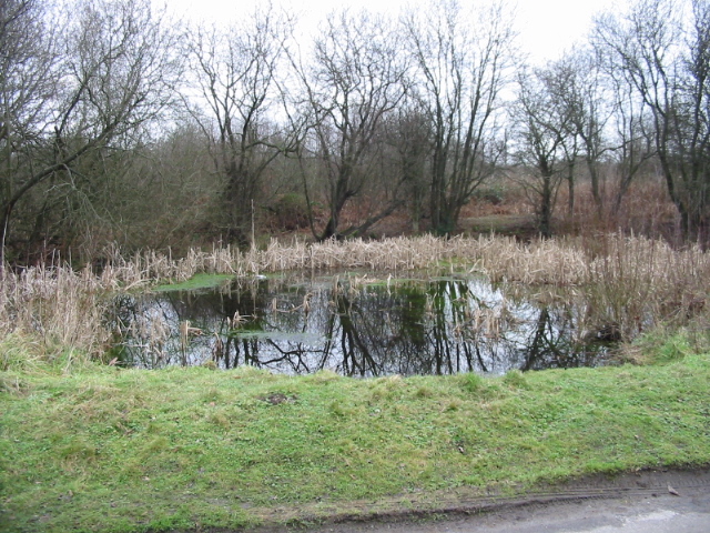 File:Pond at Gibbin's Brook - geograph.org.uk - 643621.jpg