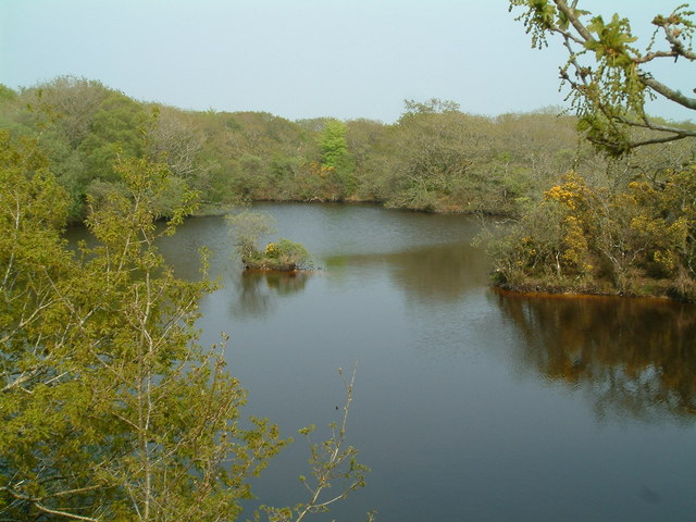 File:Redmoor nature reserve - geograph.org.uk - 169870.jpg