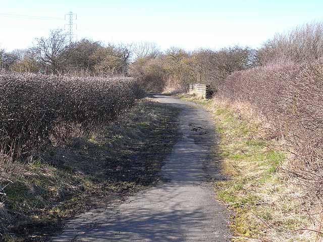 Reiver's Cycle Route, Backworth - geograph.org.uk - 1735153