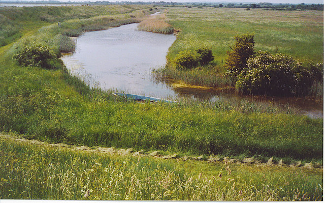 Salt Marsh Channel by Thistly Creek. - geograph.org.uk - 195687