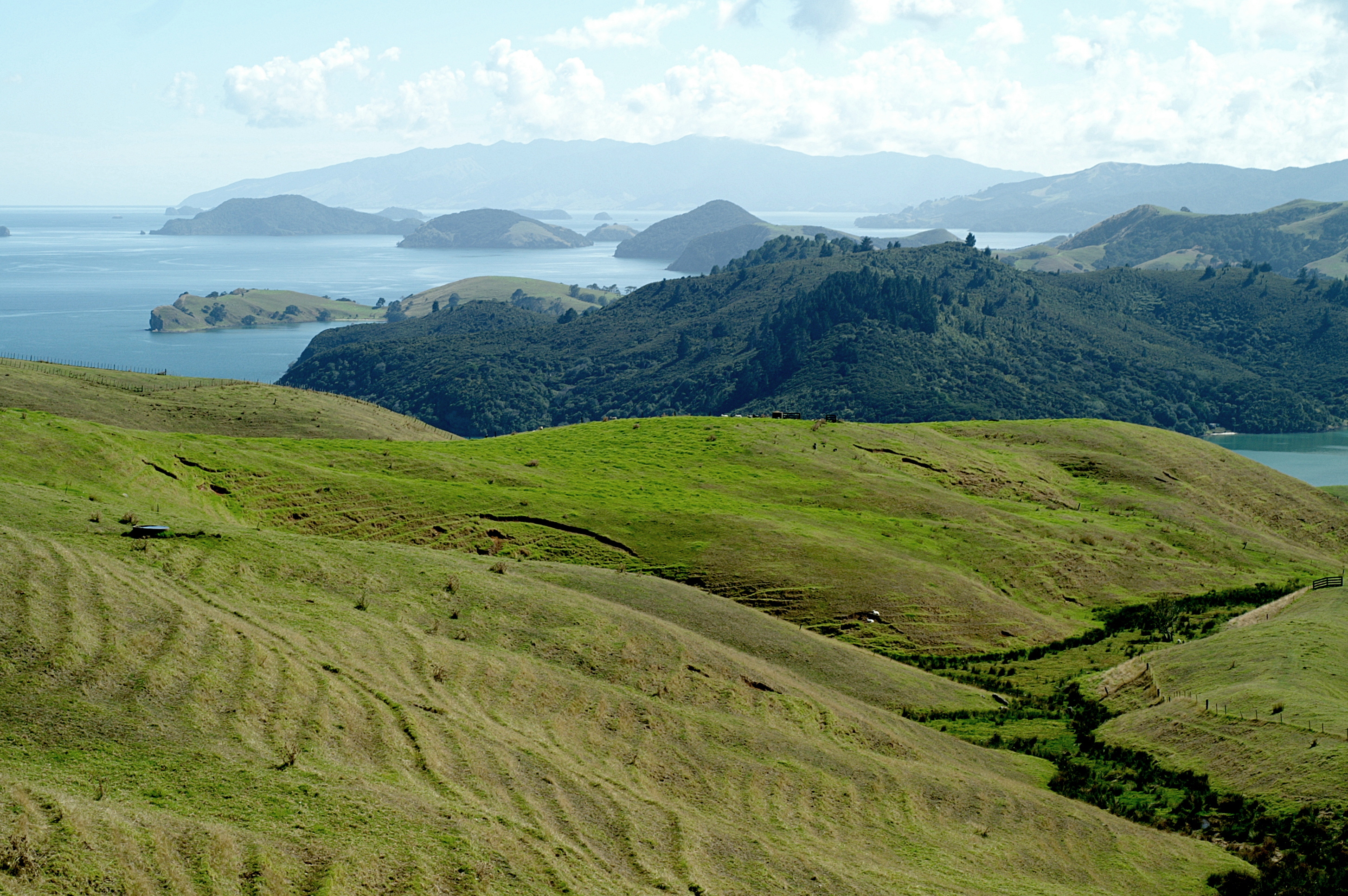 Coromandel Luxury Accommodation