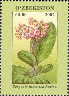 Stamps of Uzbekistan, 2002-03.jpg