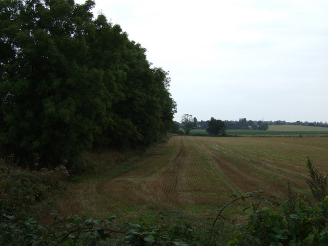 File:Stubble field beside the East Lancashire Road (A580) - geograph.org.uk - 4166145.jpg