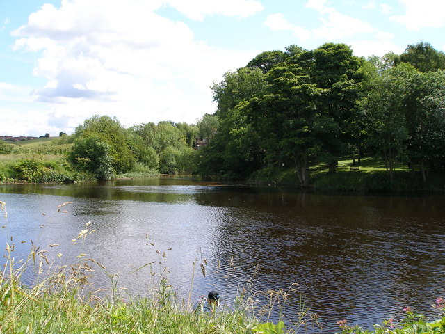 File:The confluence of the River Tees and the River Leven - geograph.org.uk - 488891.jpg