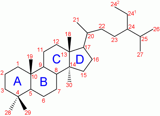 File:Trimethyl steroid-nomenclature.png