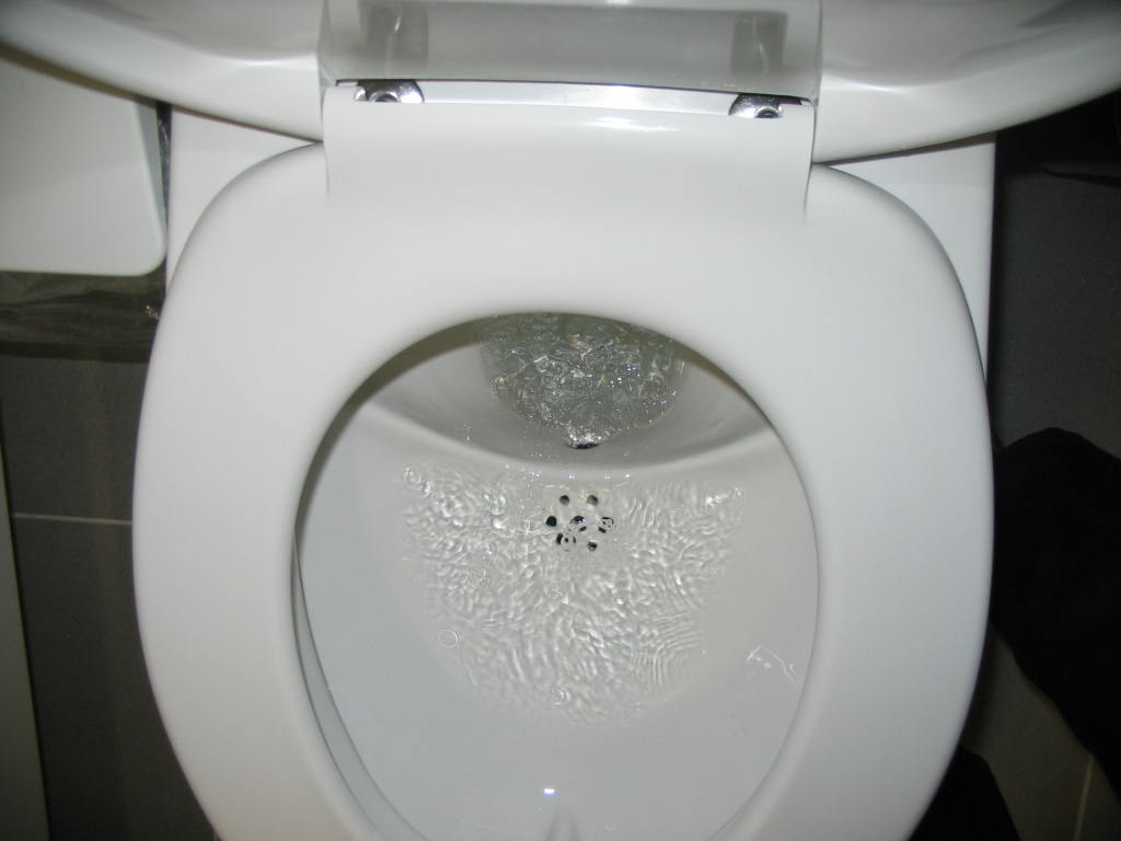 File:Flush toilet bowl.jpg - Wikimedia Commons