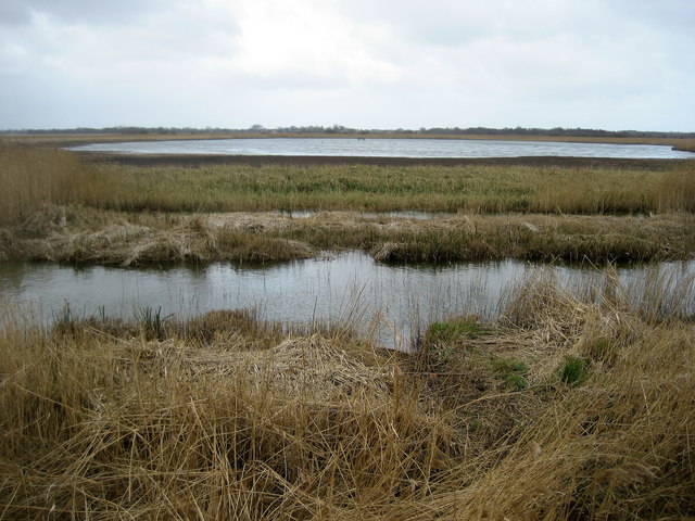 File:View over Hickling Broad - geograph.org.uk - 1244284.jpg