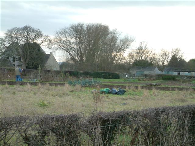 File:Working the Allotments, Cote - geograph.org.uk - 91743.jpg