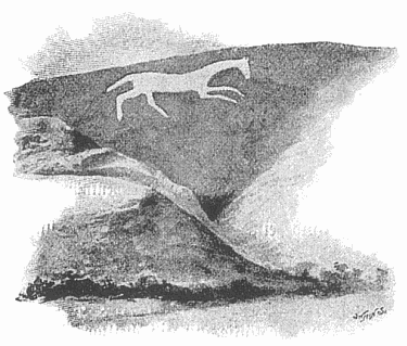 File:Zeichnung white horse.png