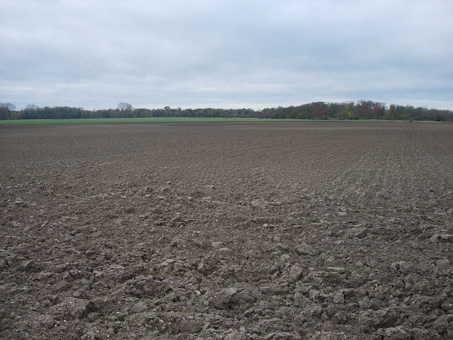 File:A harrowed field - geograph.org.uk - 1046568.jpg