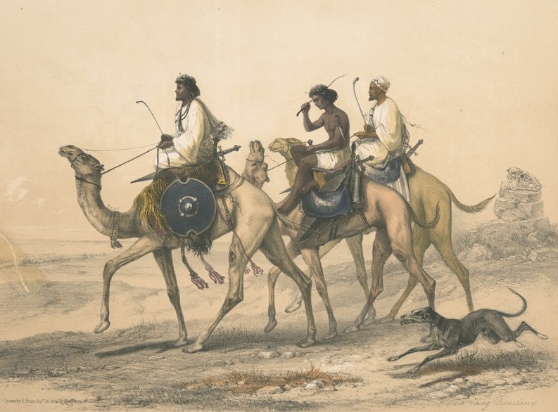 File:Ababdeh riding their dromedaries.jpg