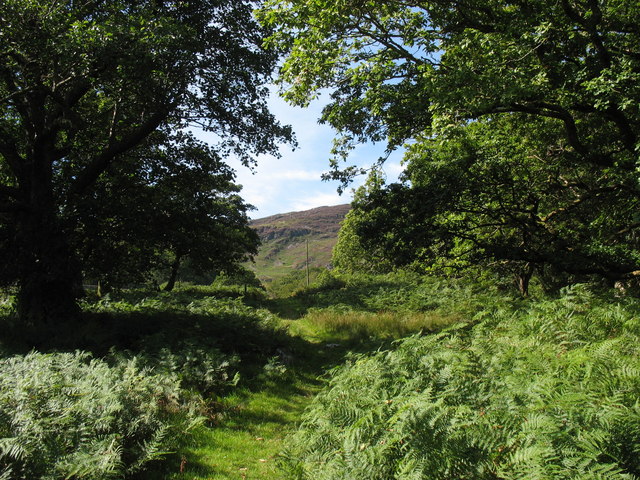 File:Approaching the tarred road to Goetre - geograph.org.uk - 534271.jpg