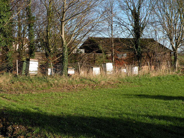 File:Bee-hives at Chalky Road - geograph.org.uk - 1596380.jpg