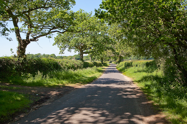 File:Braggers Lane - geograph.org.uk - 1895555.jpg