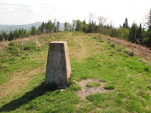 Bringewood trig point - geograph.org.uk - 1840578