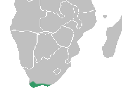 Ceratandra distribution map.png