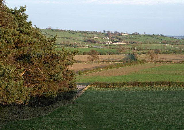 Countryside west of Buttersyke Bar - geograph.org.uk - 1257895