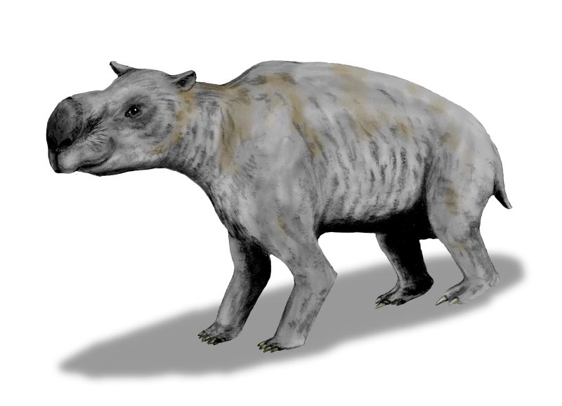 File:Diprotodon BW.jpg