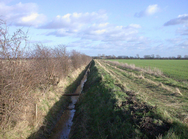 File:Ditch in farmland near Waterbeach Airfield - geograph.org.uk - 673481.jpg